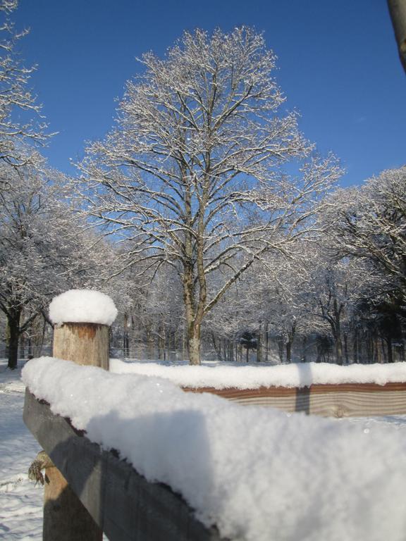 Camping De Masevaux ภายนอก รูปภาพ